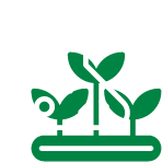 Asesoría Técnica Personalizada